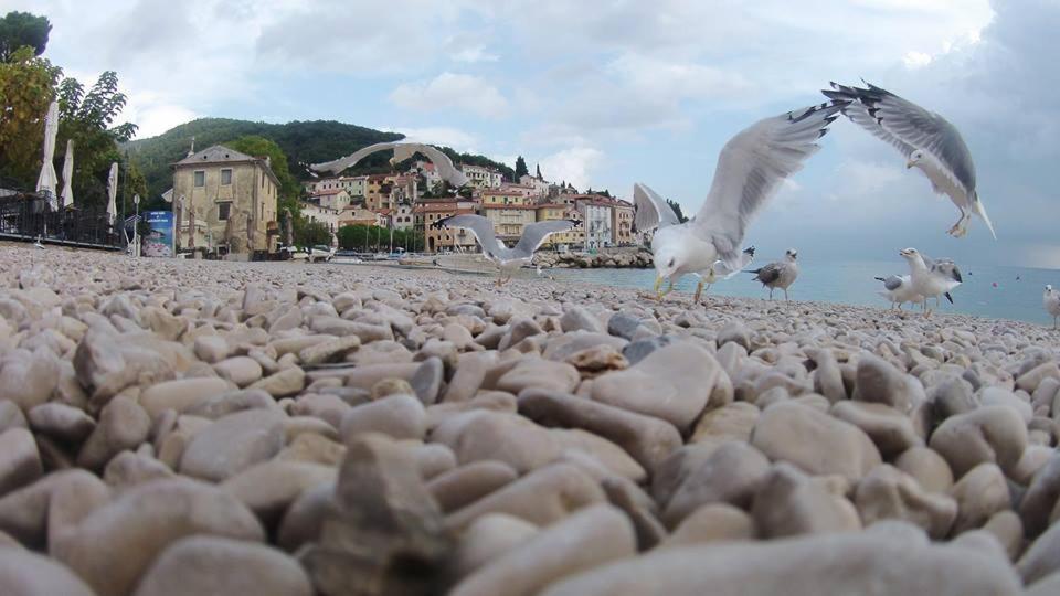 Near The Sea *